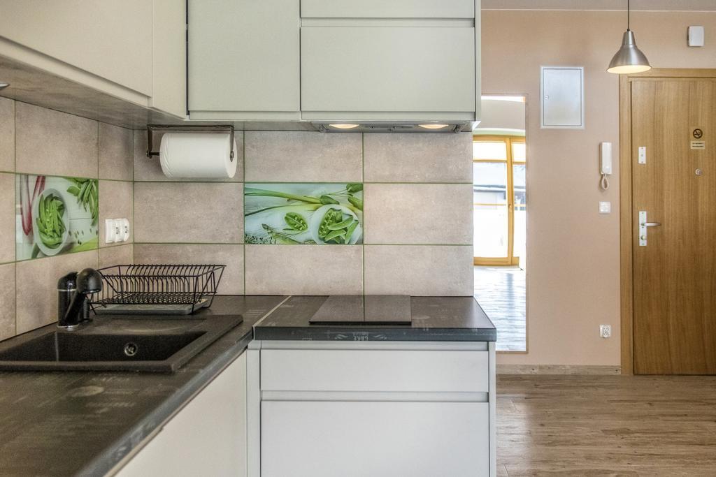 Mlynek Do Skoczni Apartment Zakopane Bagian luar foto